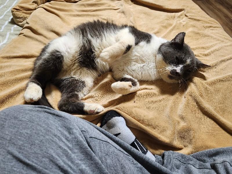 Gunnar — thumbnail 4