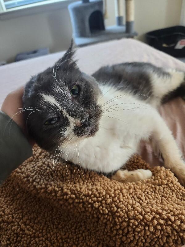 Gunnar — thumbnail 5