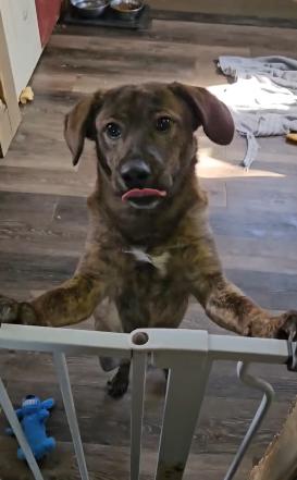 Max photo 2