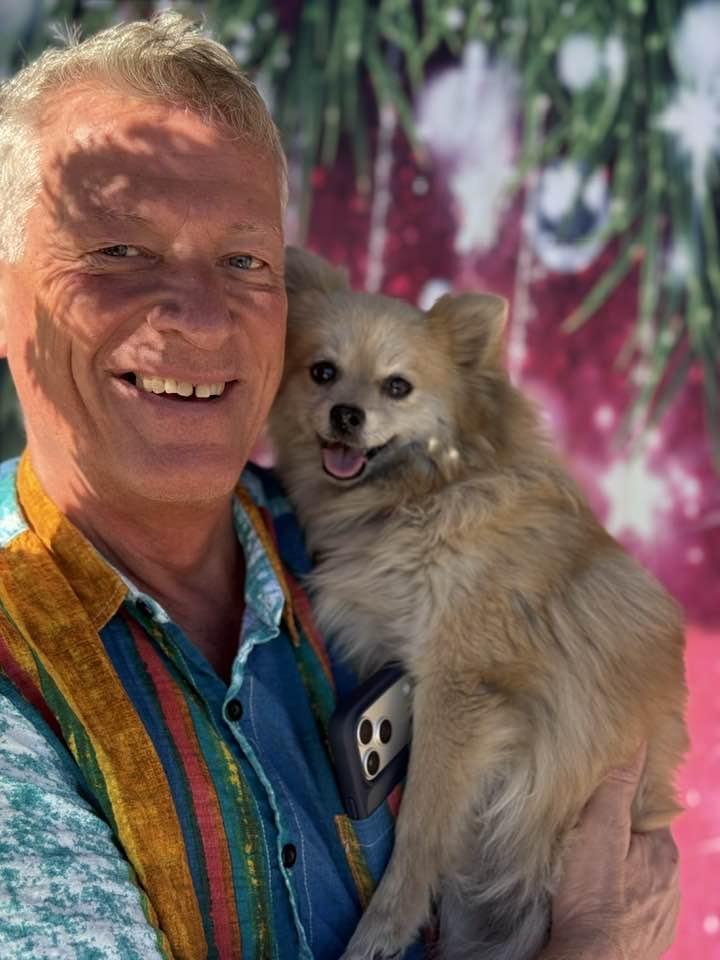 Lottie, adopted, Young Female Pomeranian.