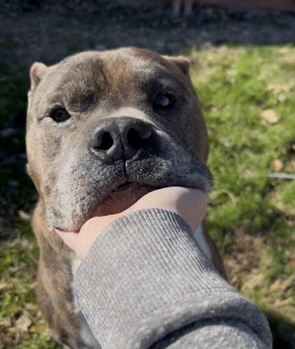 Niko** — thumbnail 2