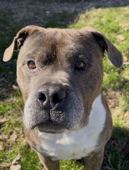 Niko** — thumbnail 3