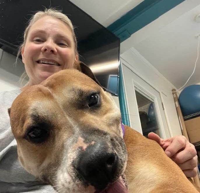 Enlarge Delaney, a Adoptable mixed breed in Warren, MI image 5/6