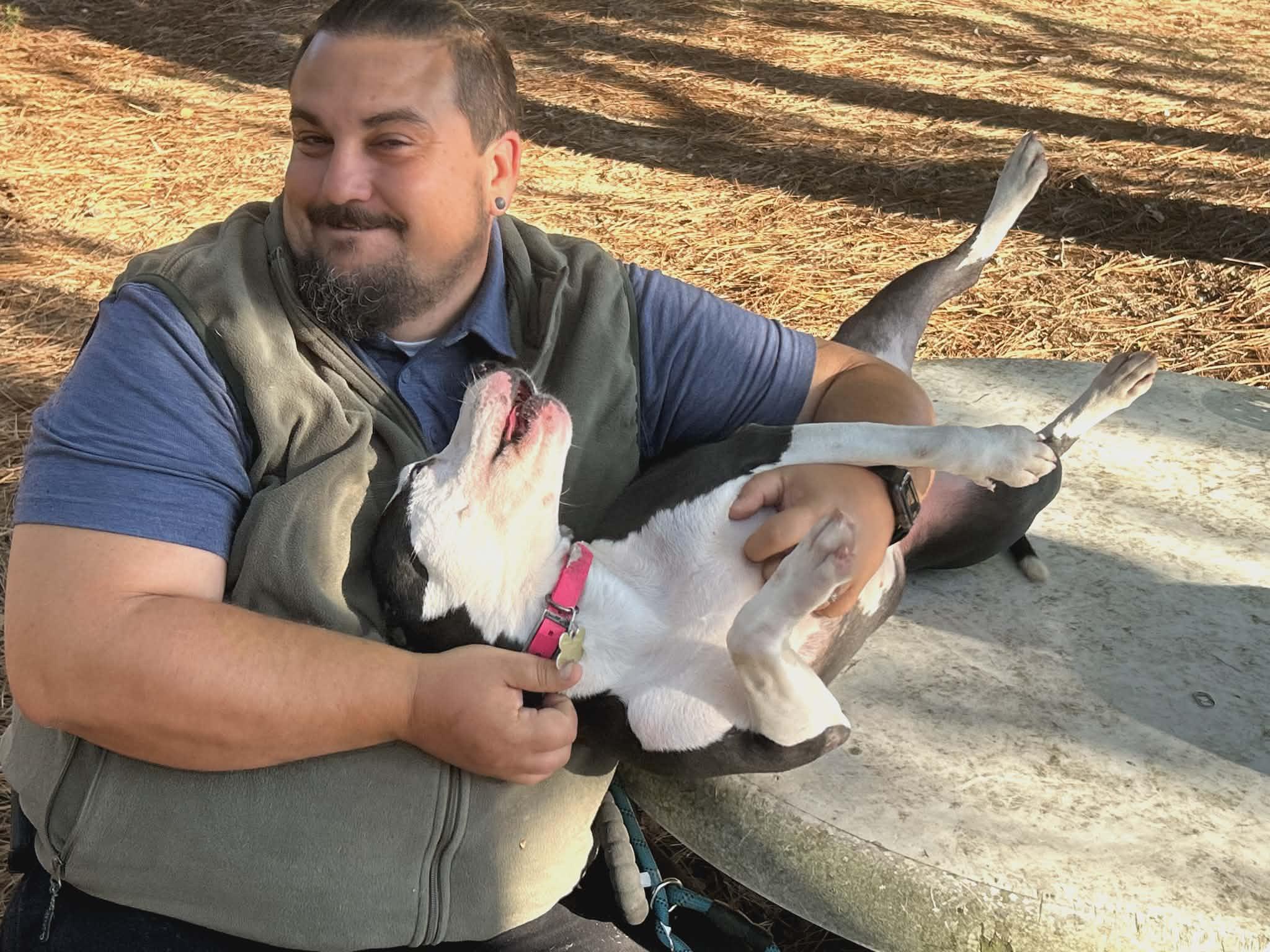 Enlarge Wendy, a Adoptable mixed breed in Wilkesboro, NC image 1/3