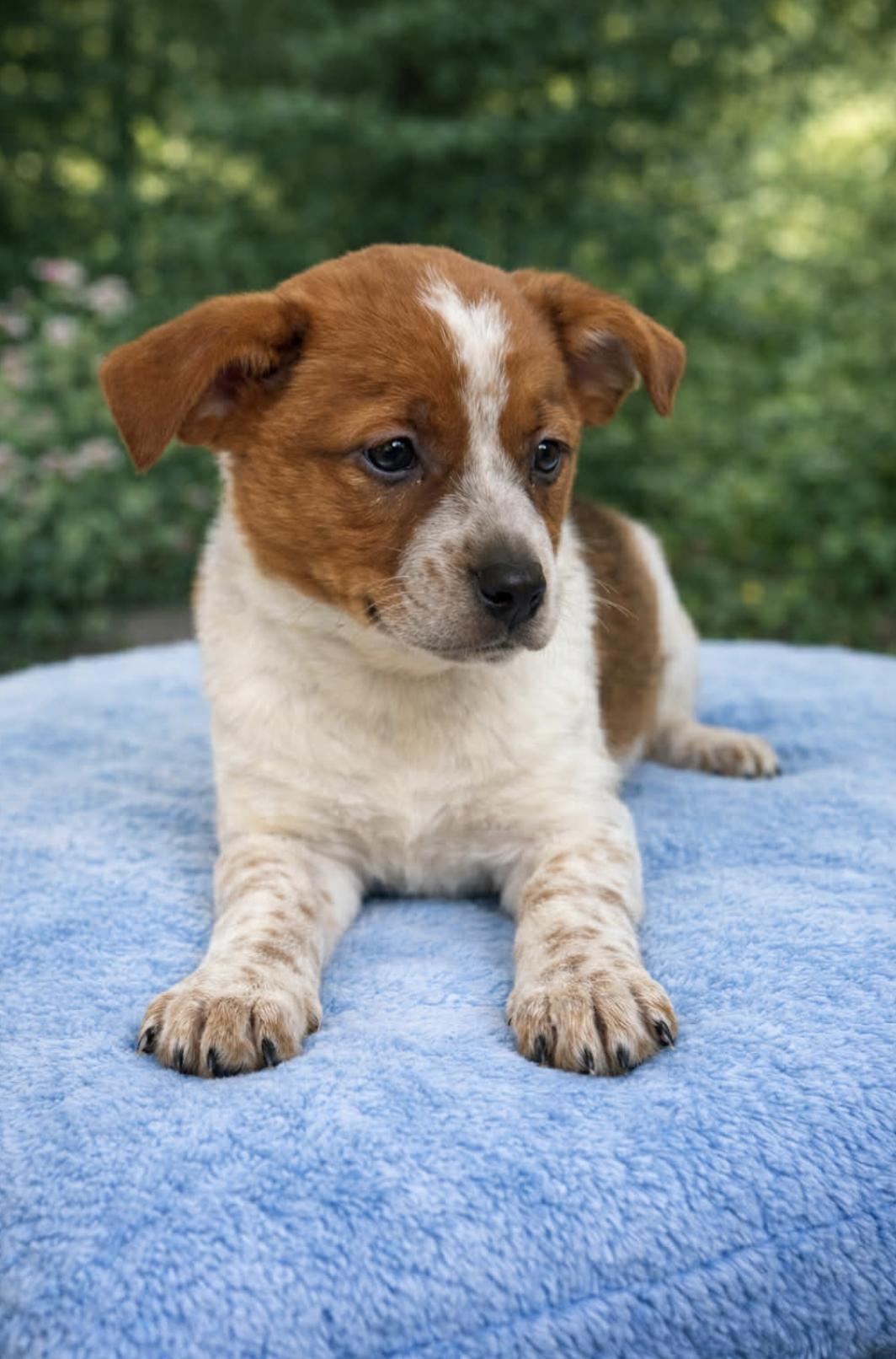 Axton — thumbnail 2