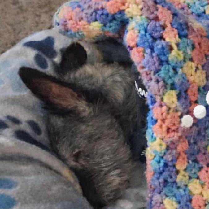 Toto D6798 — thumbnail 4