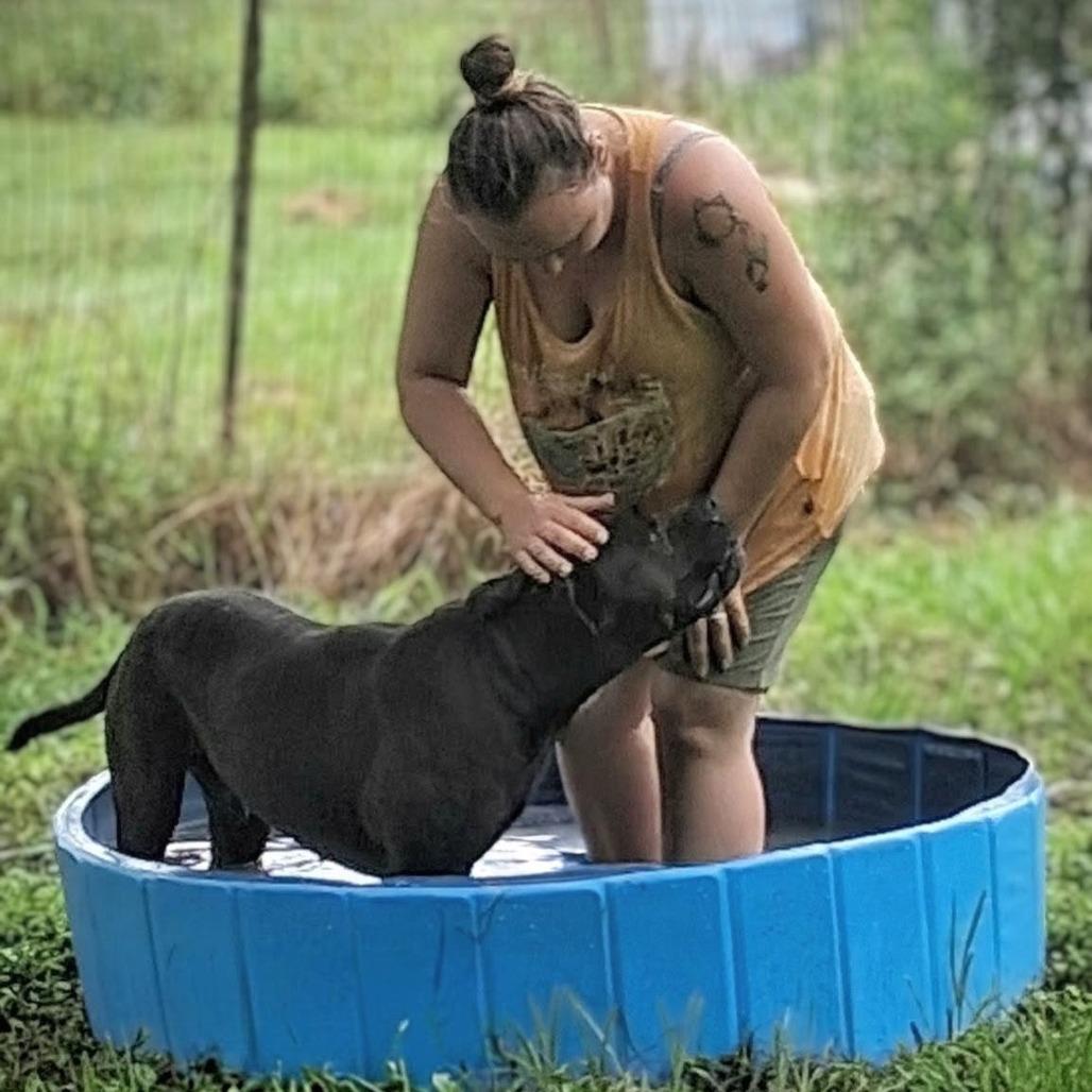 Enlarge Angus, a Adoptable mixed breed in Tylertown, MS image 2/6