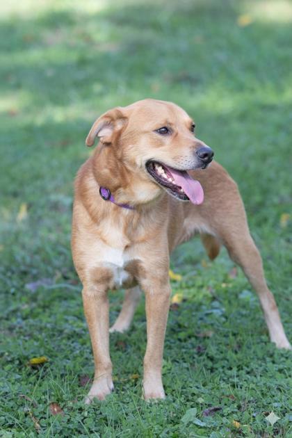 Buster — thumbnail 2