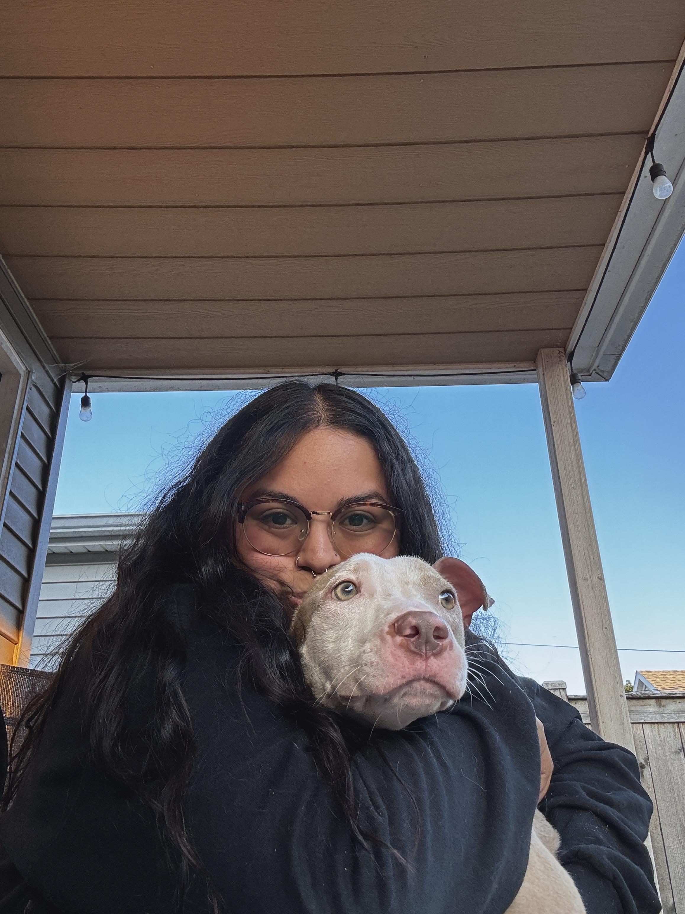 Enlarge Cami, a Adoptable mixed breed in Chicago, IL image 4/6