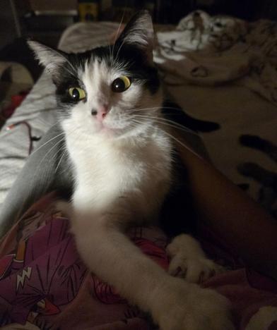 Hera — thumbnail 4