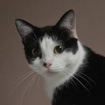 Hera — thumbnail 5