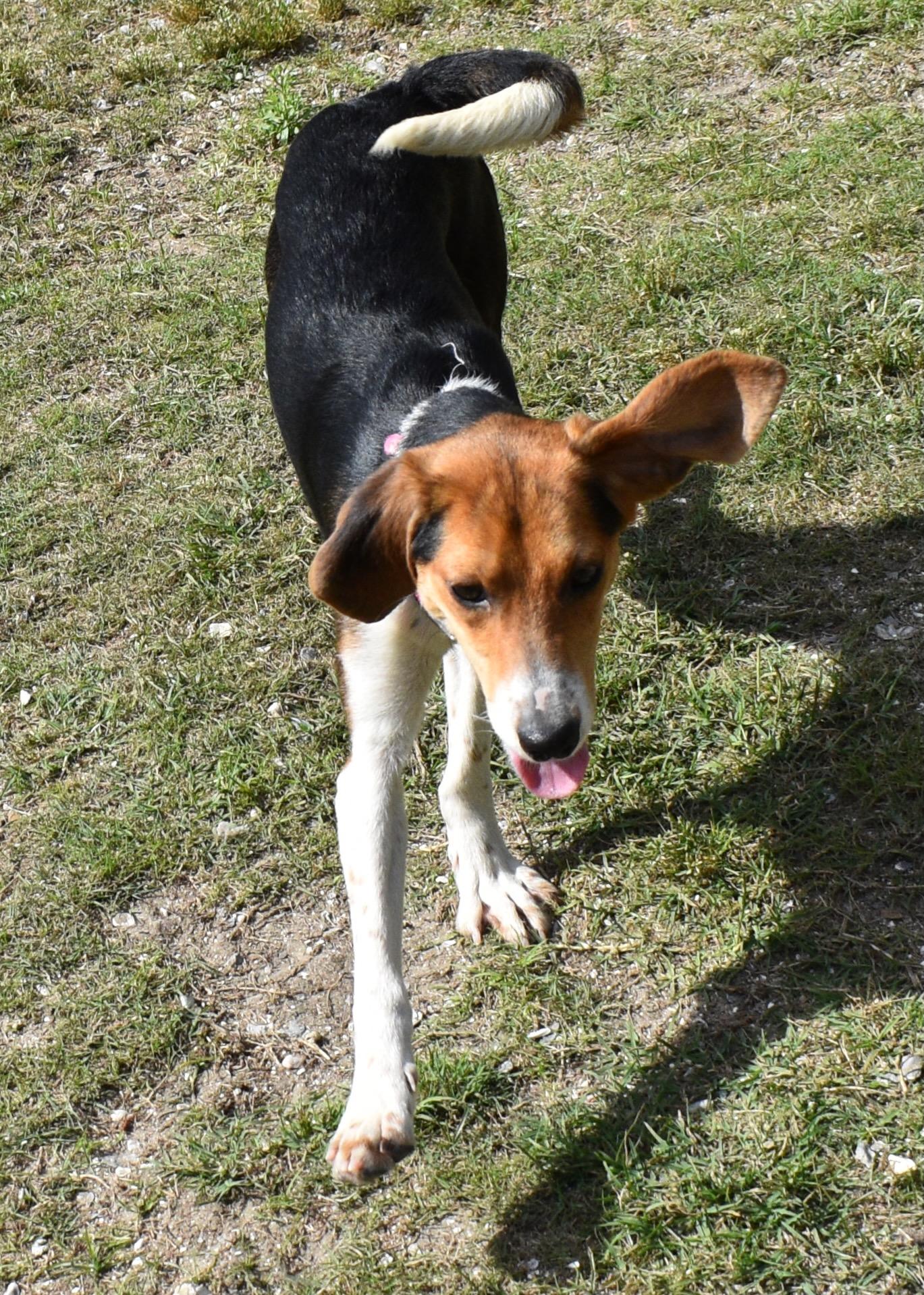 OLIVE photo 1