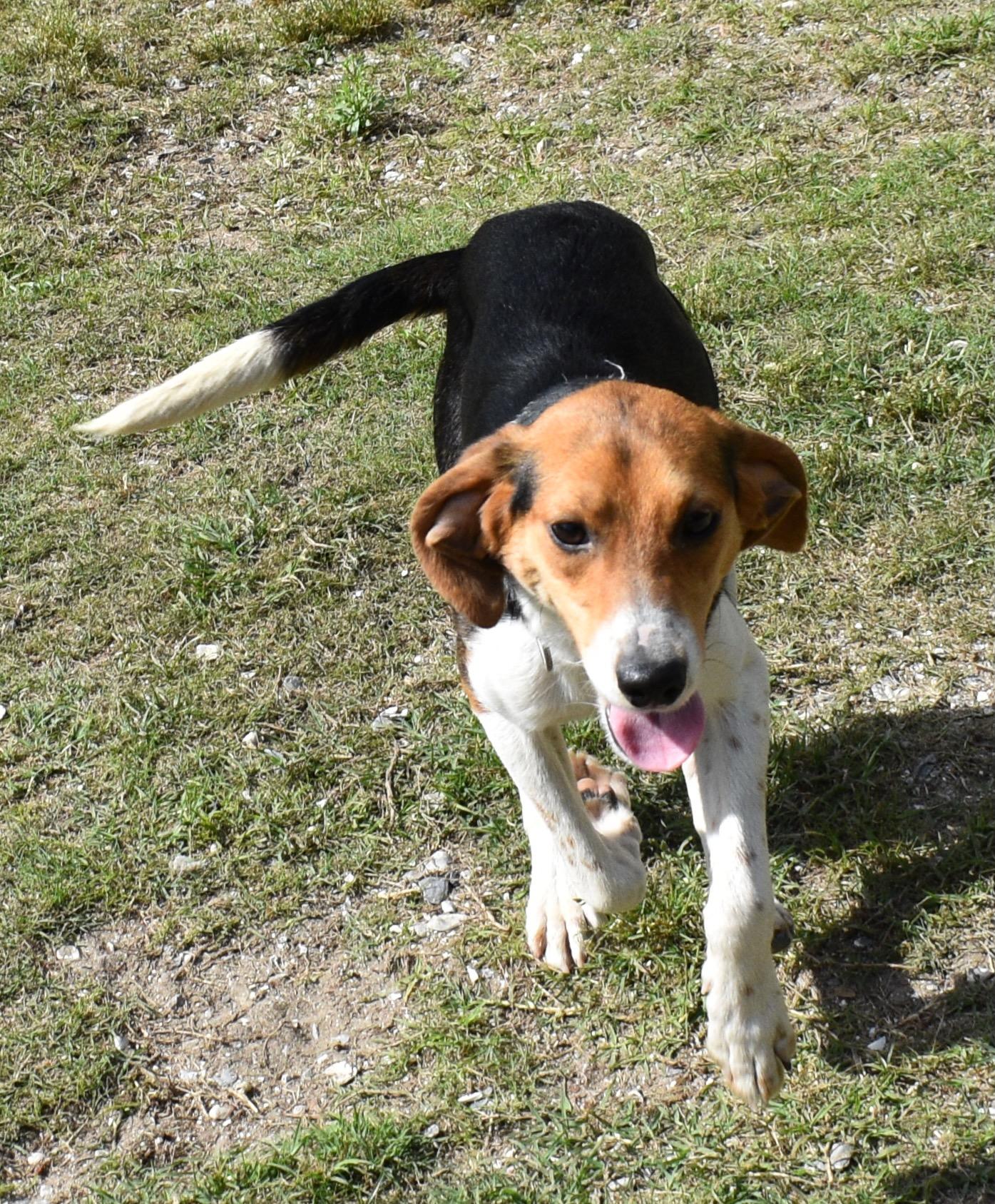 OLIVE photo 3