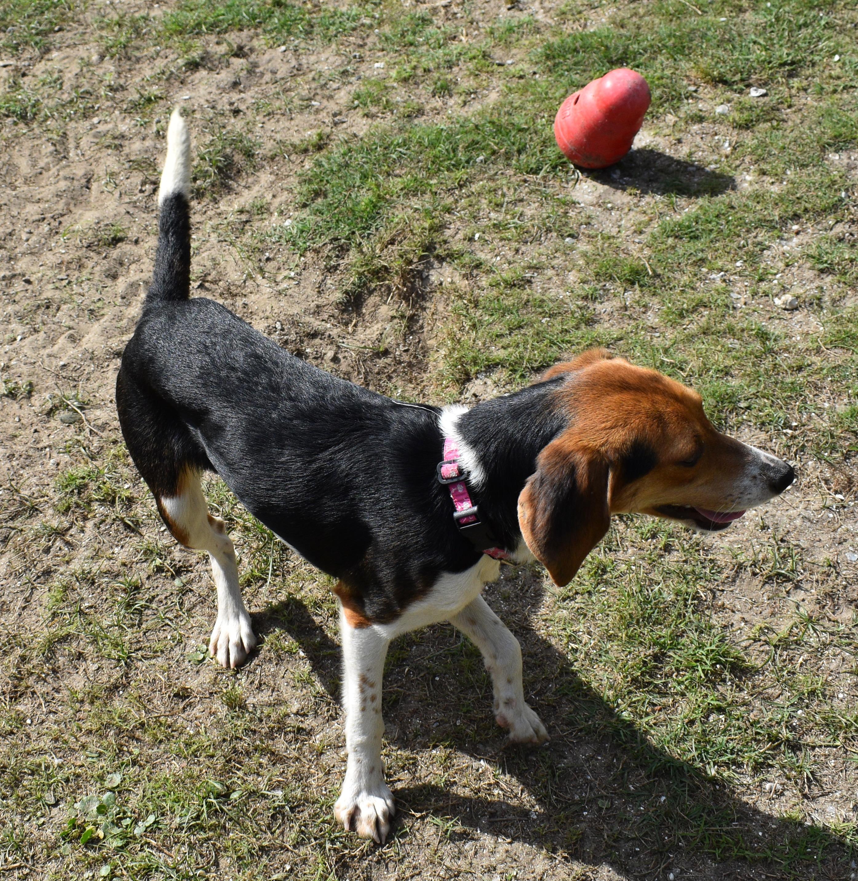 OLIVE photo 5