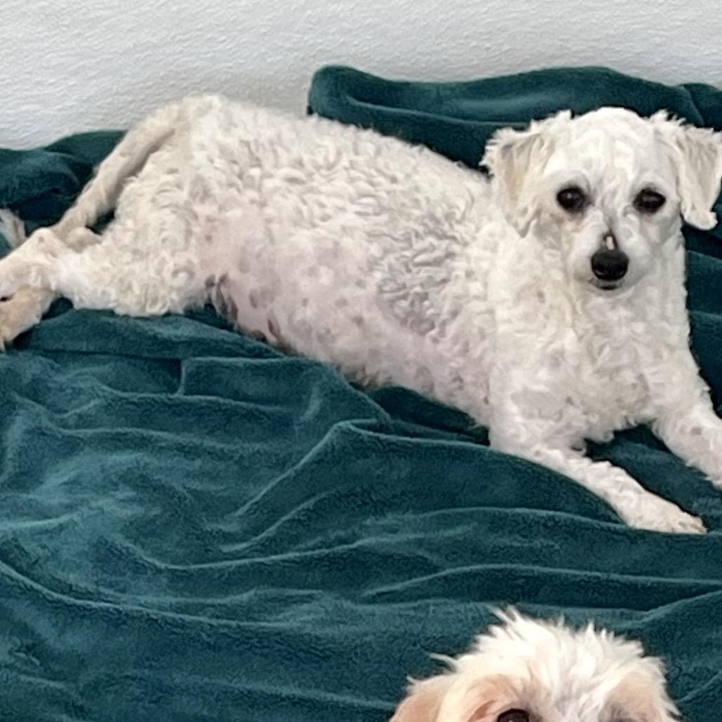 Tinkerbell thumbnail 3