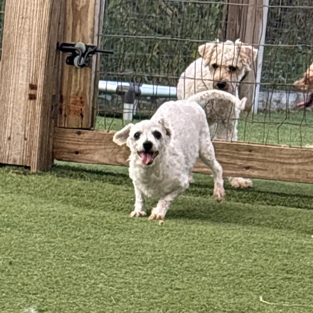 Tinkerbell thumbnail 4