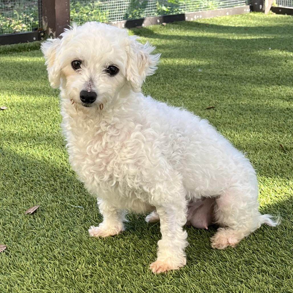 Tinkerbell thumbnail 5