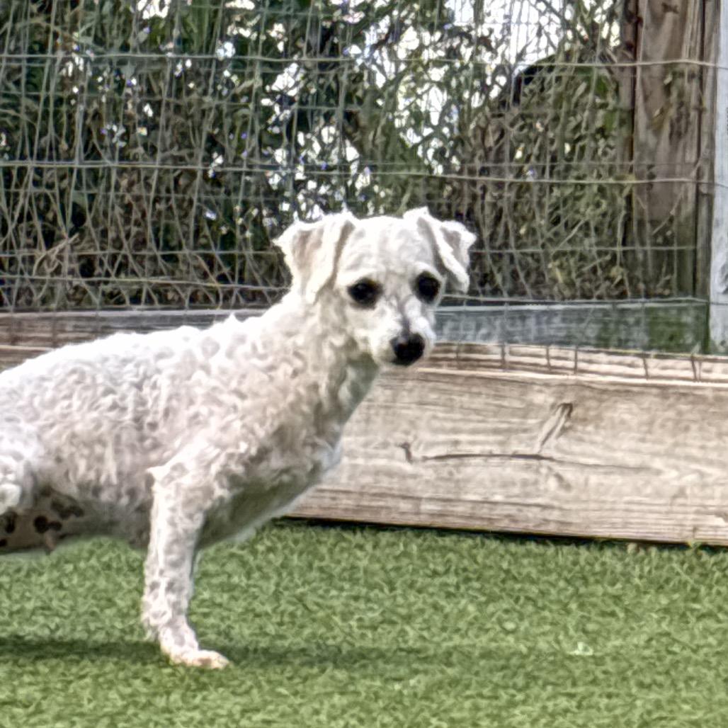 Tinkerbell thumbnail 6