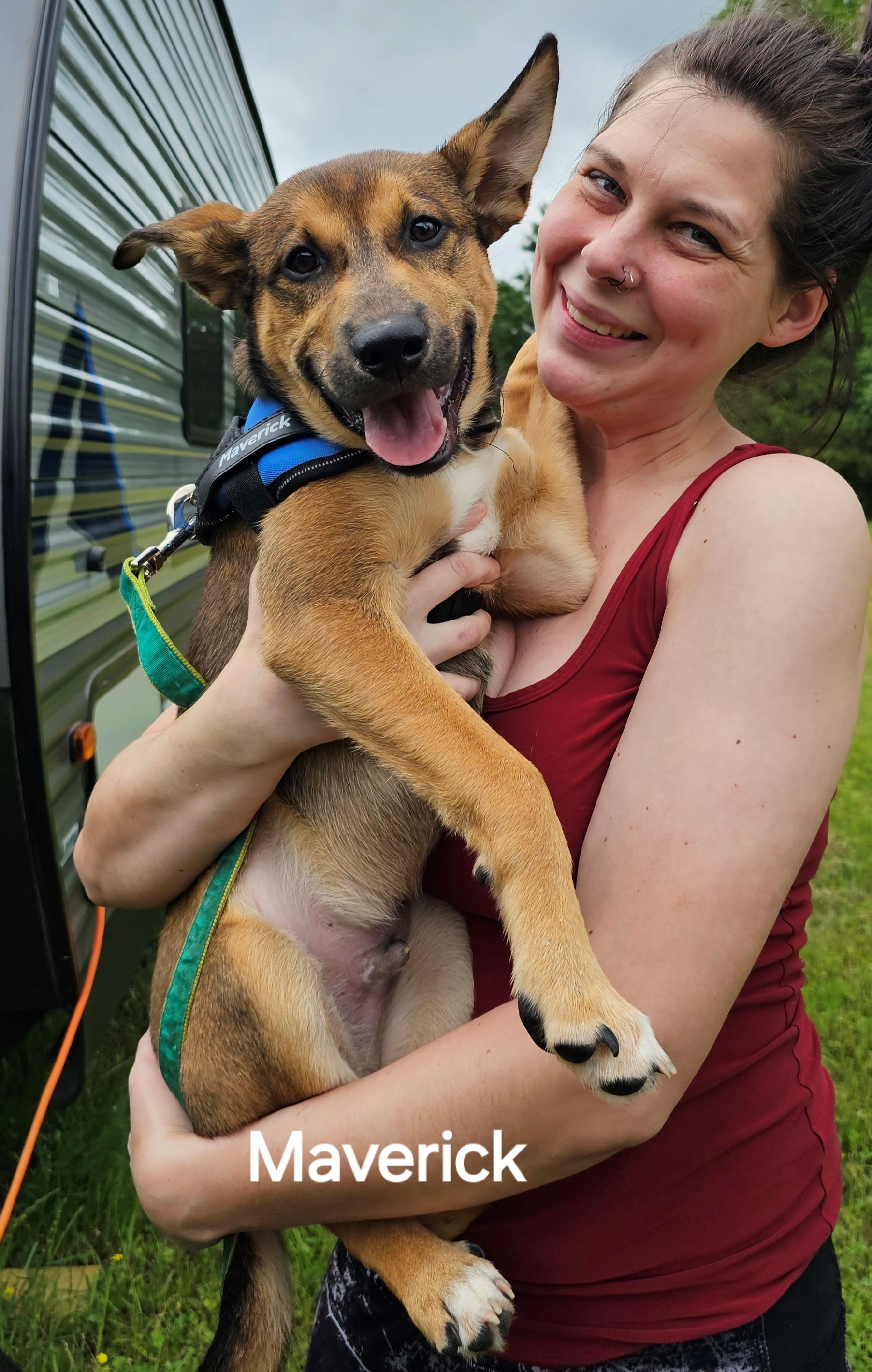 Maverick, a Adopted mixed breed image 2/5