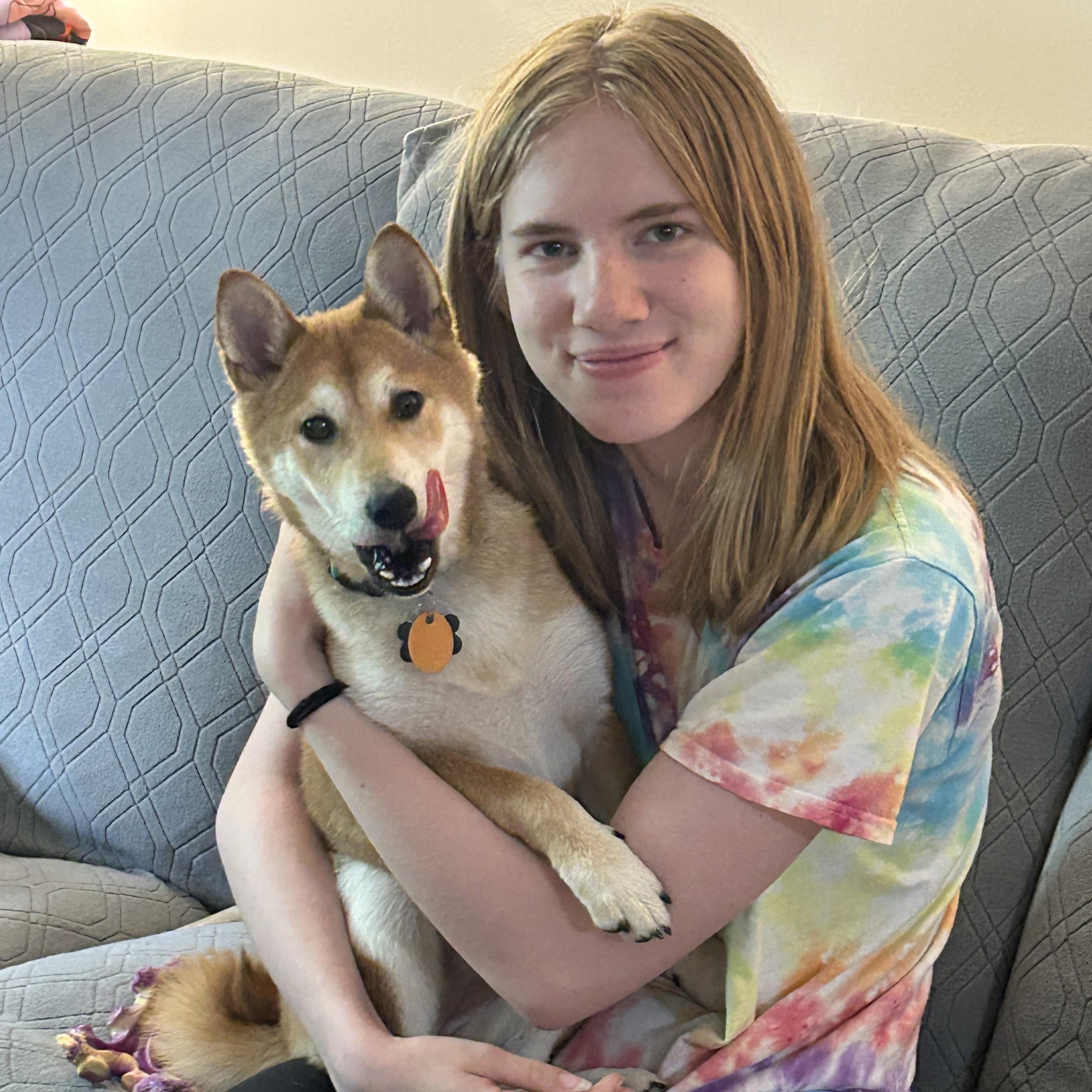 Mango, a ADOPTABLE Shiba Inu in Chicago, IL image 3/6