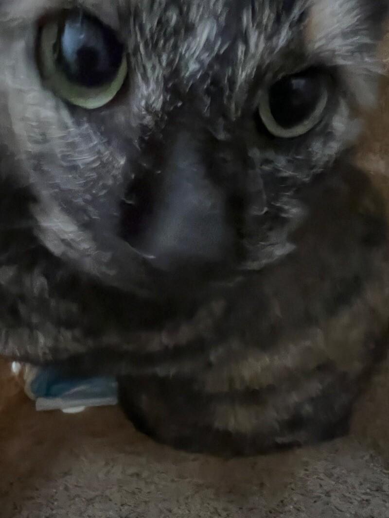 Ephra — thumbnail 3