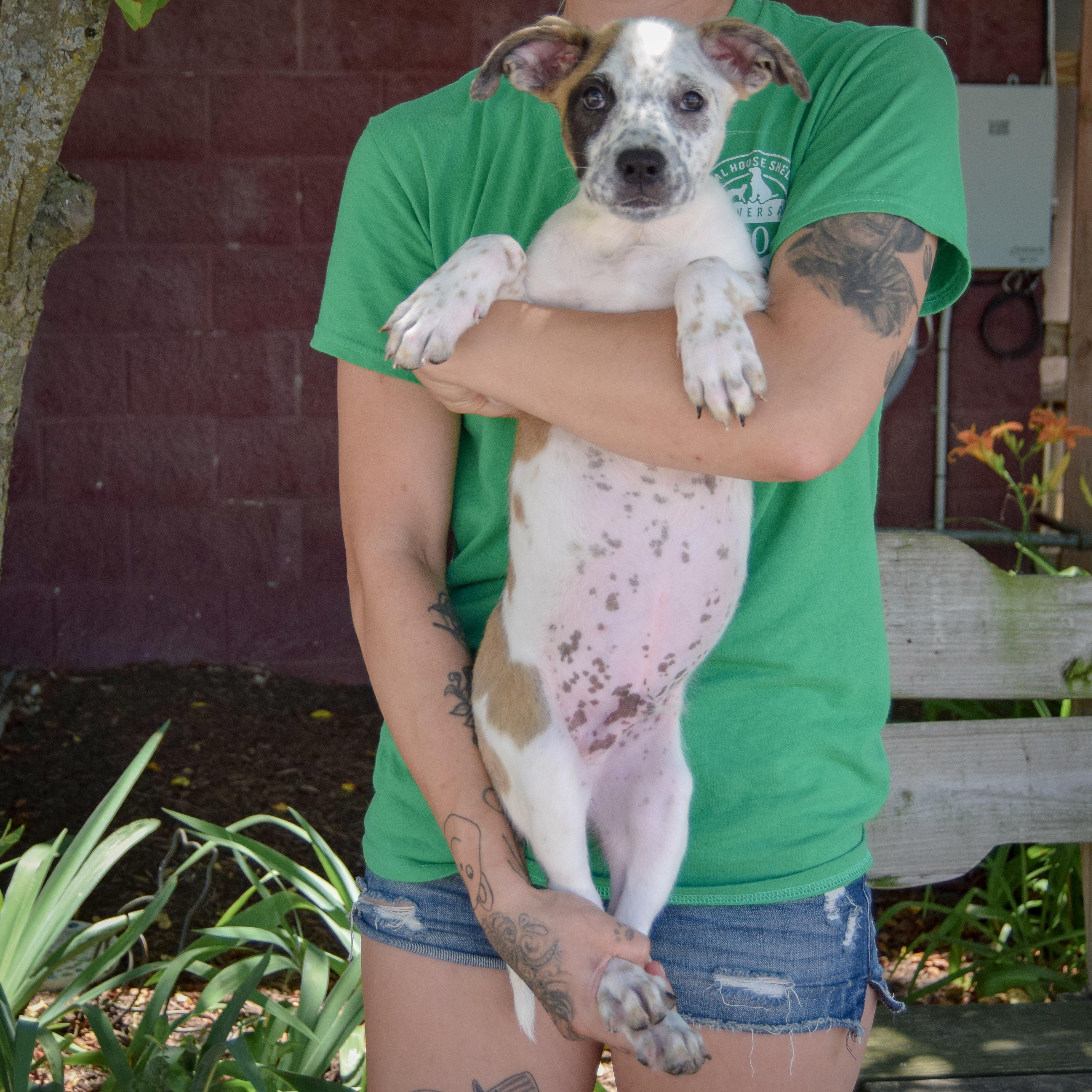 Petey