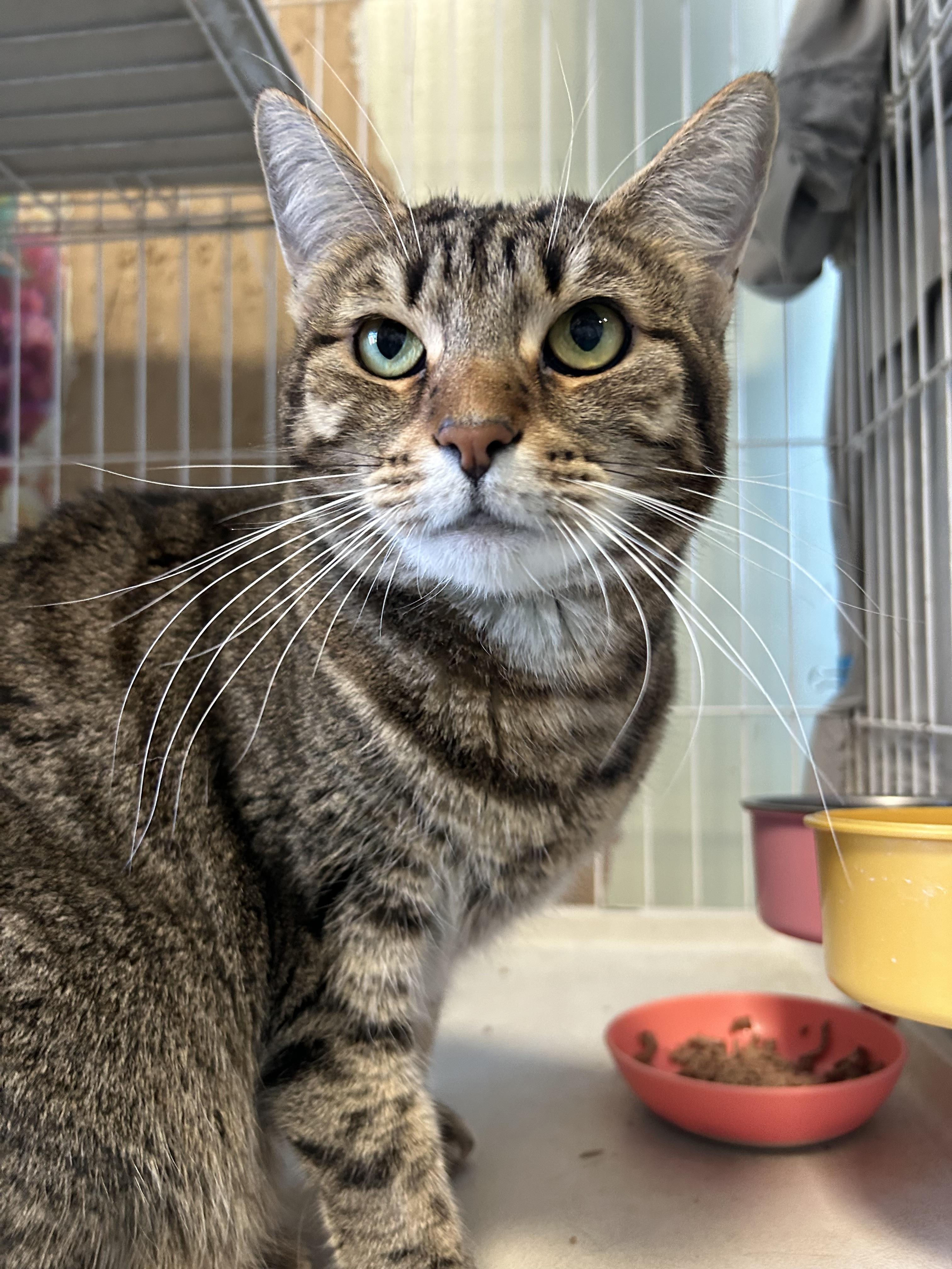 Gracie Girl & Cali Baby