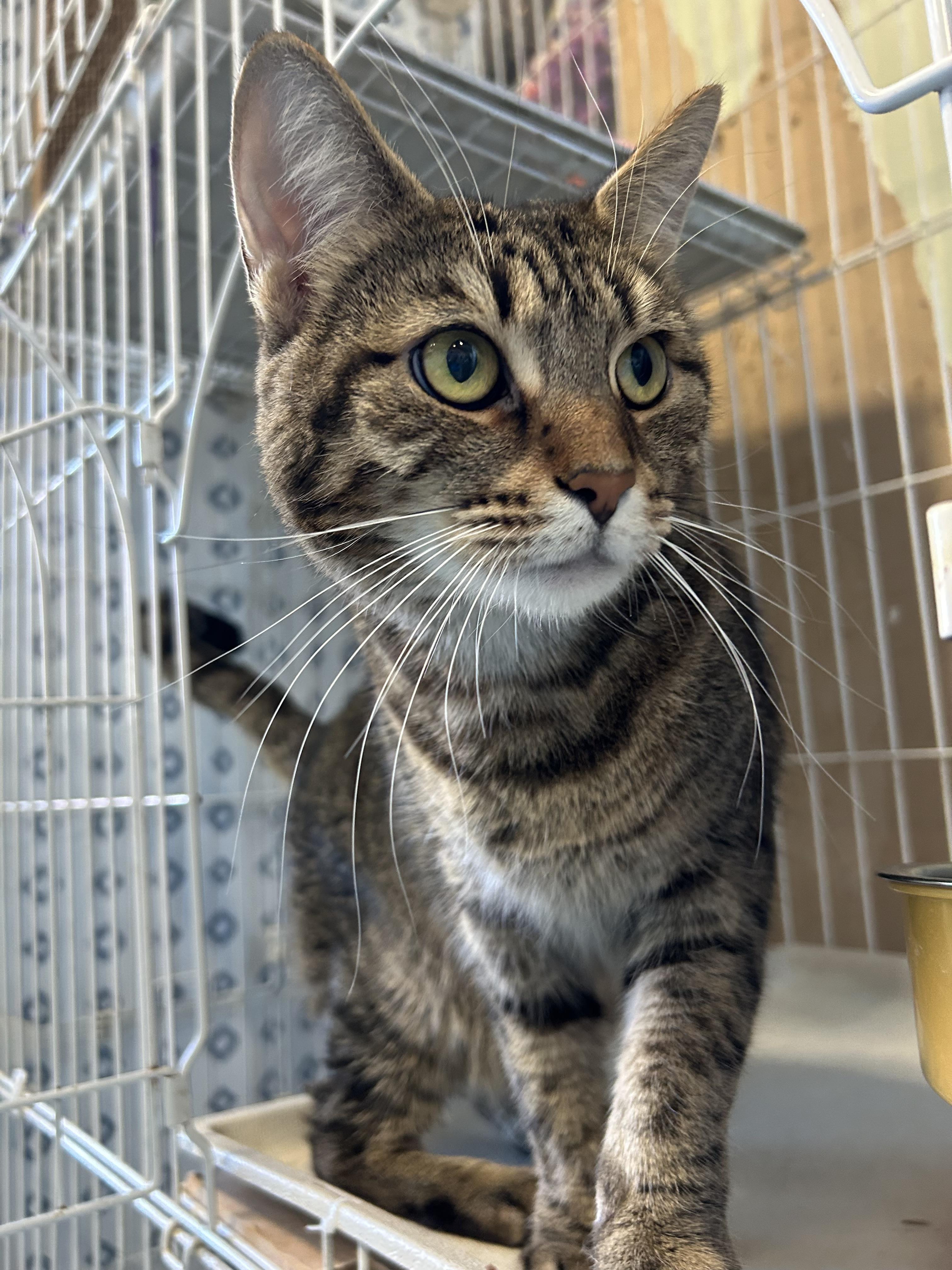 Gracie Girl & Cali Baby