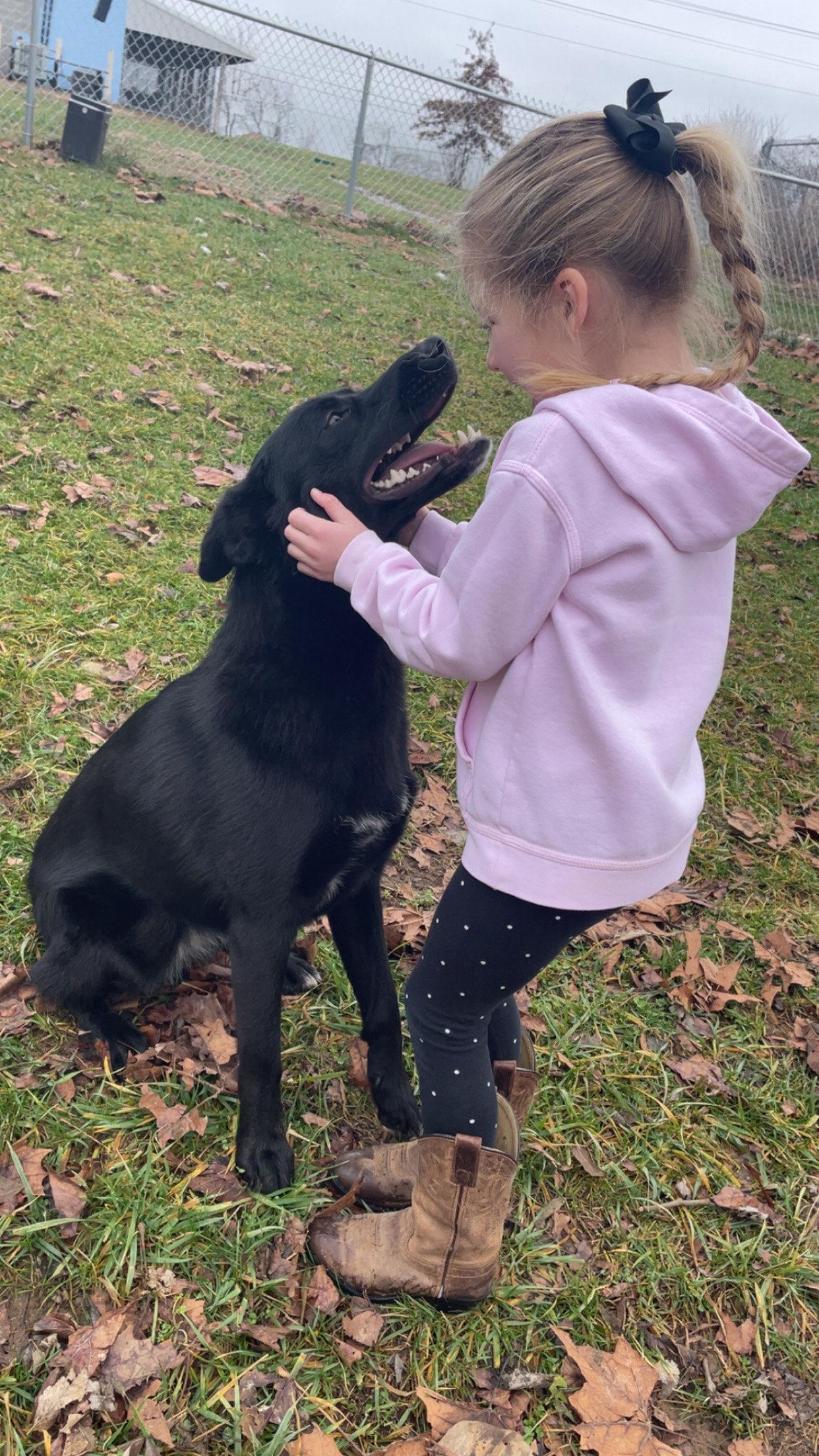 Enlarge Clarice, a ADOPTABLE mixed breed in Sulphur, KY image 2/4