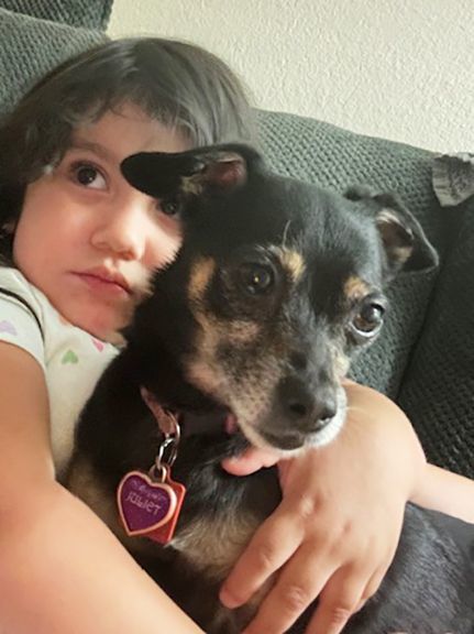 Enlarge Juliet and Korra, a Adopted Chihuahua in Orangevale, CA image 2/3