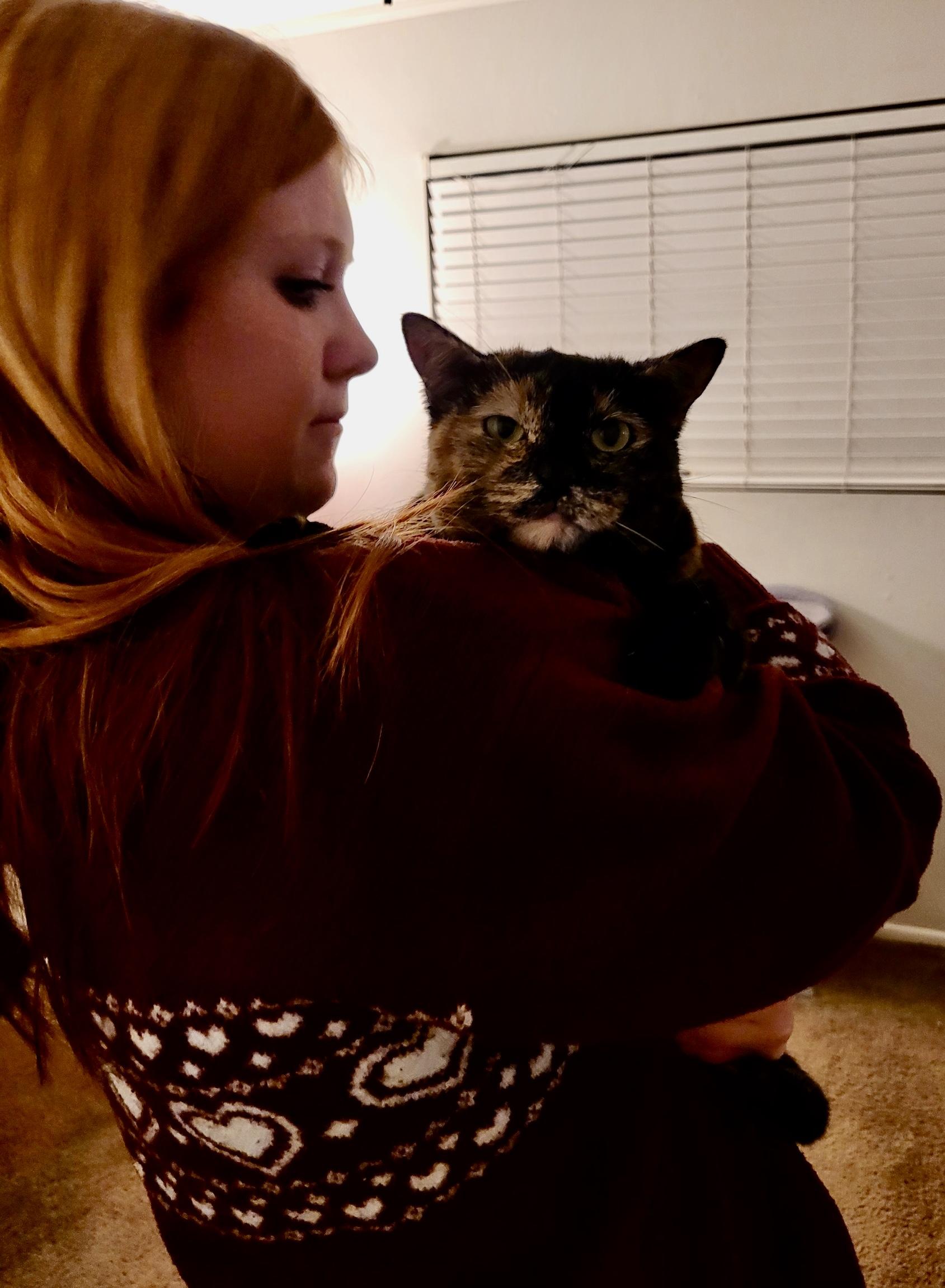 Ivy, a ADOPTABLE Tortoiseshell in Santa Clarita, CA image 1/5