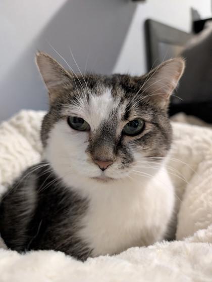 Mamacita — thumbnail 2