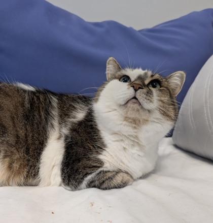 Mamacita — thumbnail 5