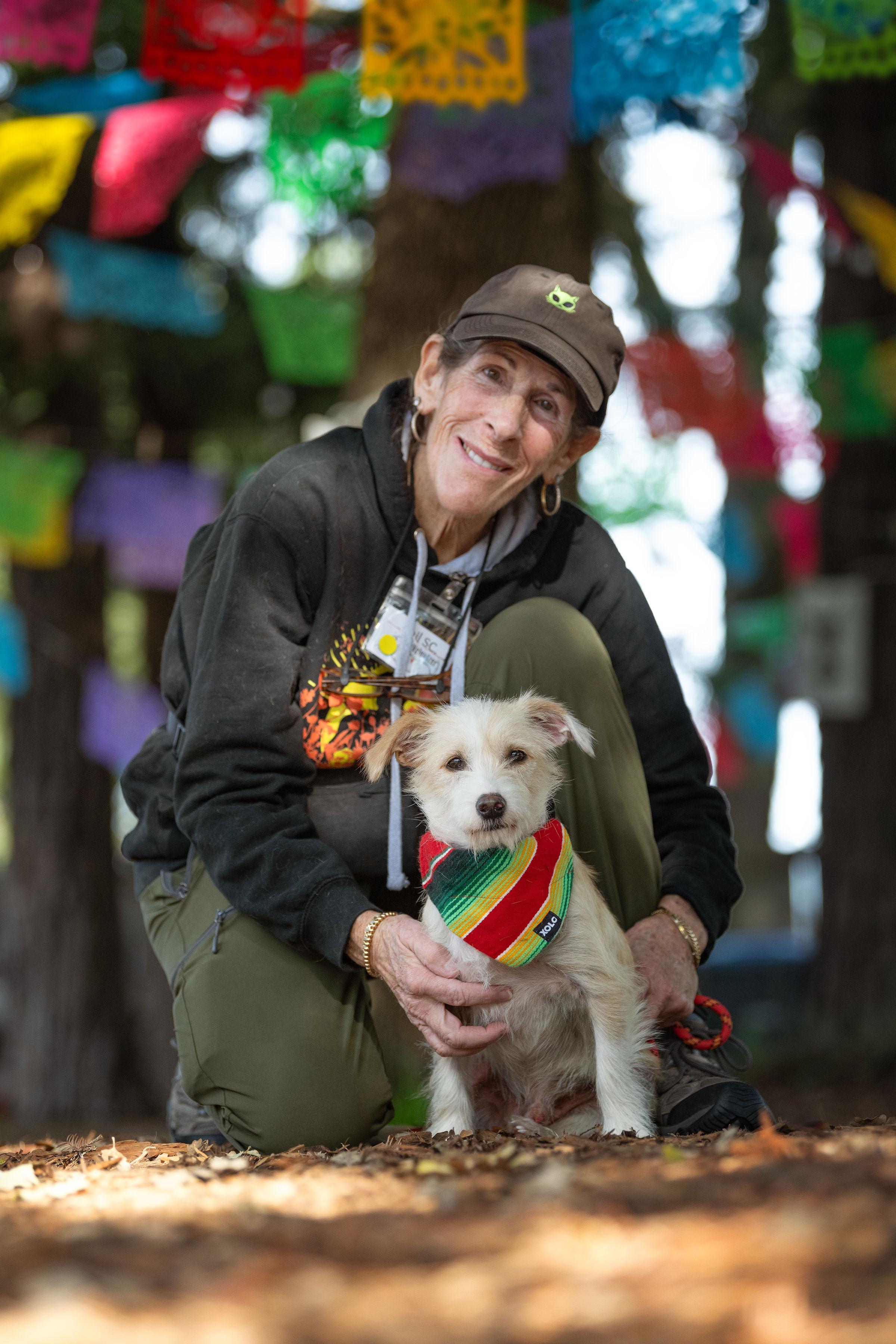 Enlarge Miguel, an adopted mixed breed in Santa Rosa, CA image 3/6
