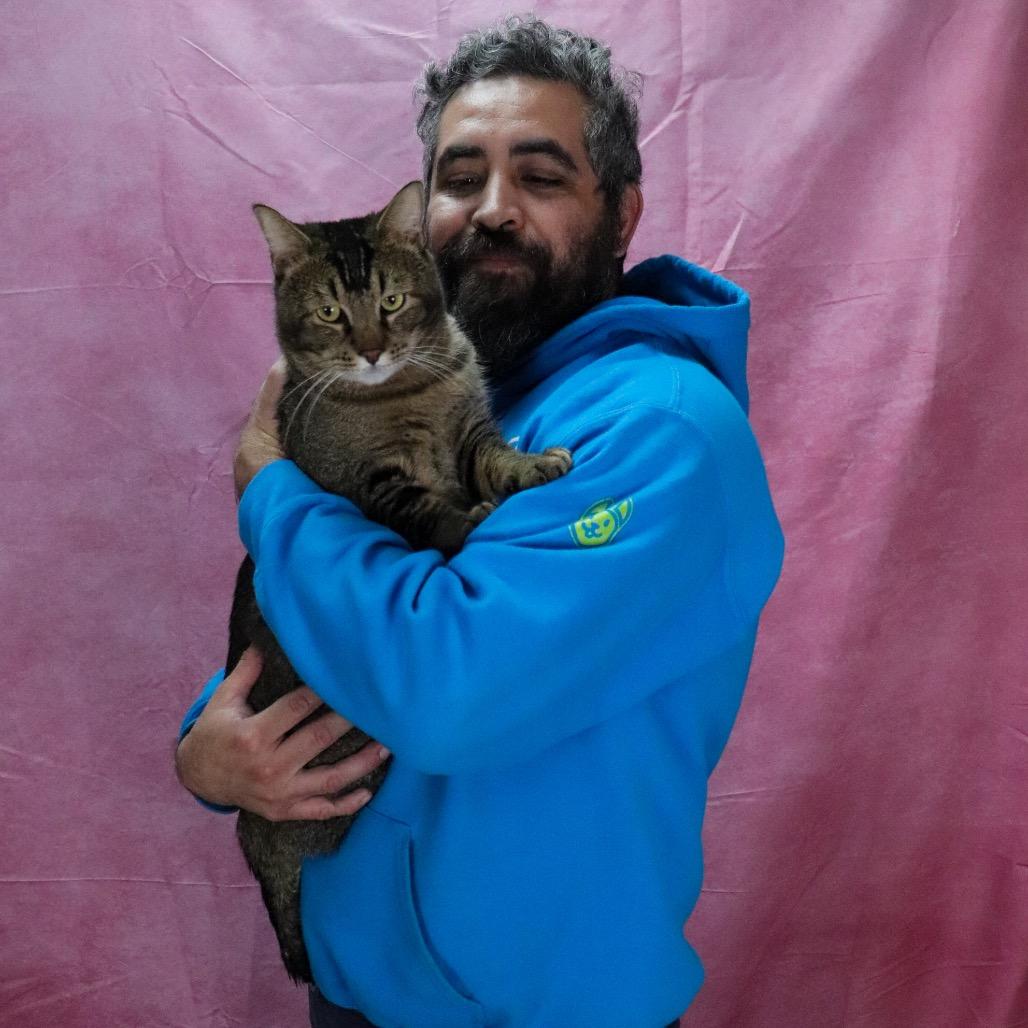 Starli — thumbnail 5