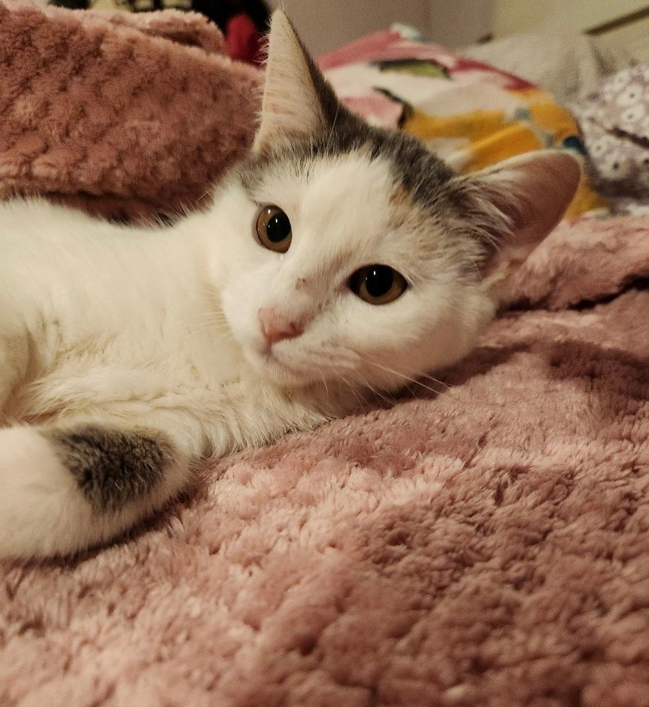 Popsicles — thumbnail 2