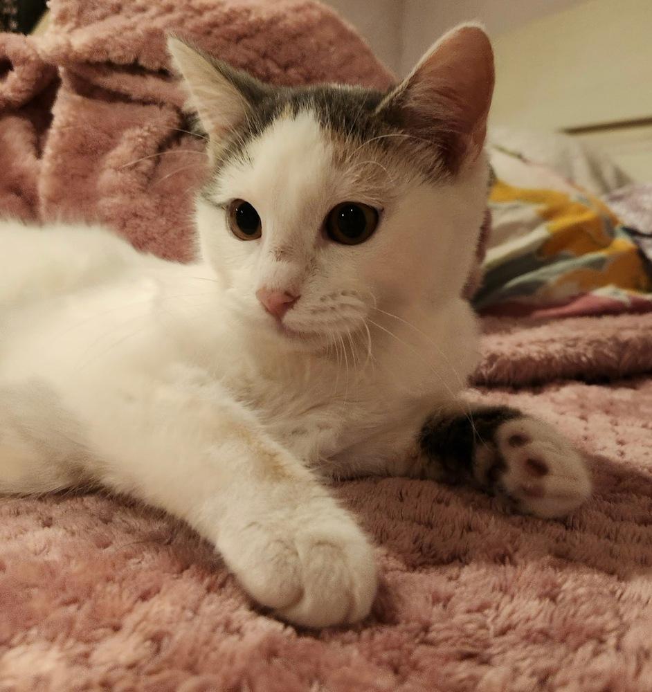 Popsicles — thumbnail 3