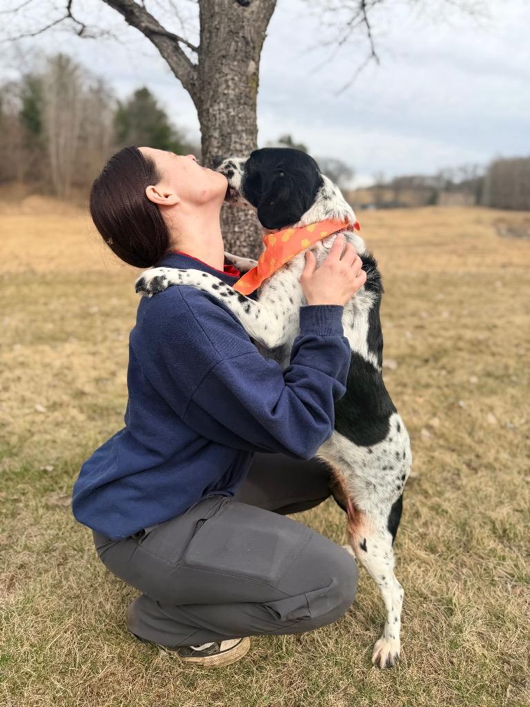 Enlarge Cash, a Adoptable mixed breed in Menomonie, WI image 3/5