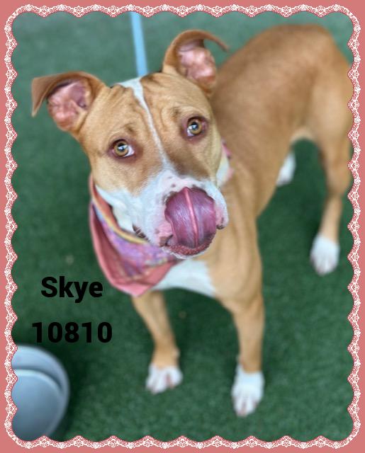 SKYE