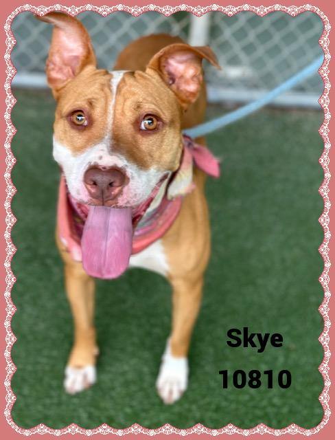 SKYE