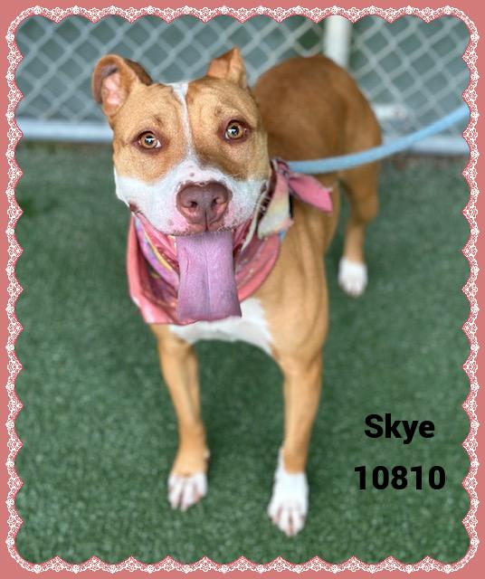 SKYE