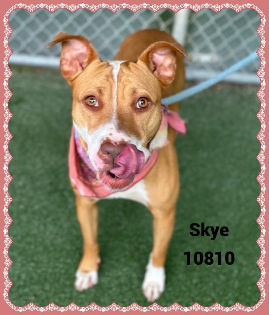 SKYE