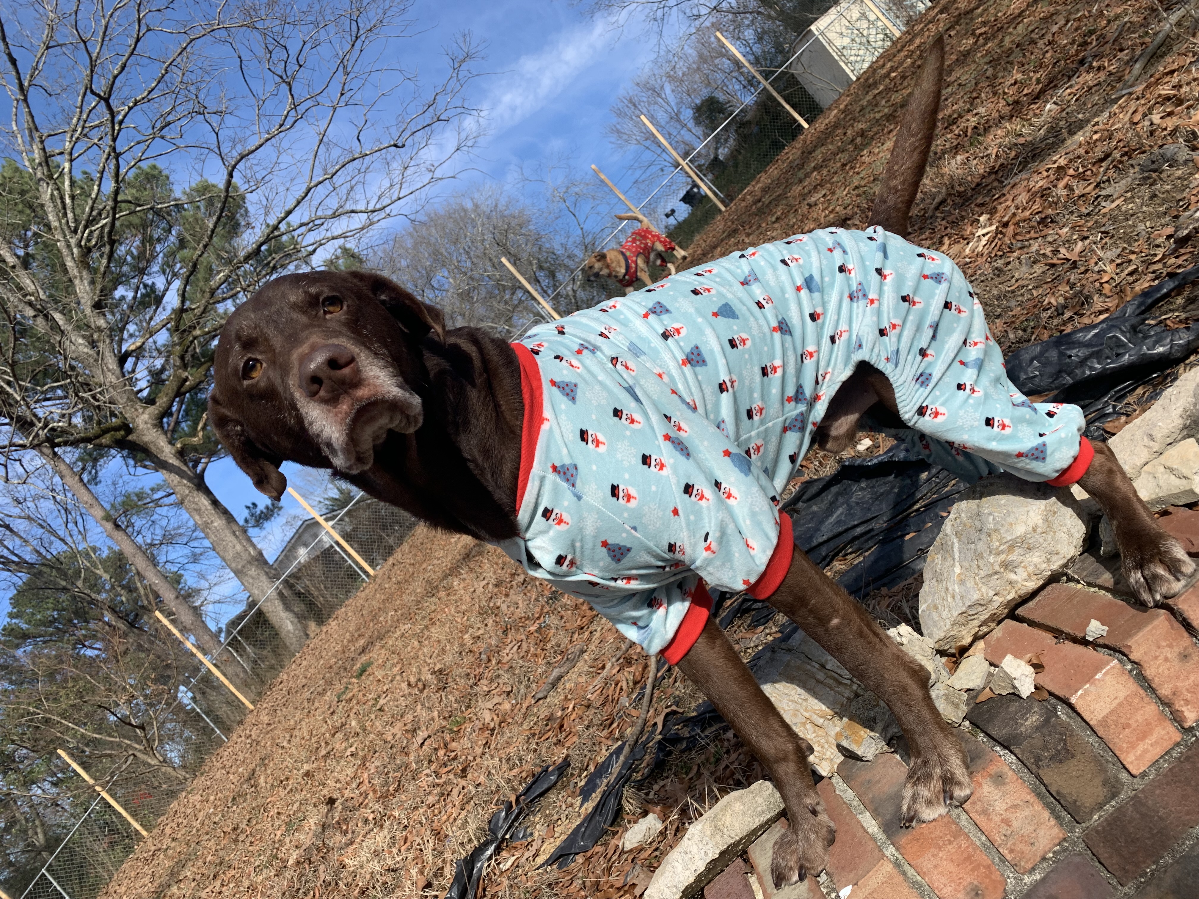 TUCKER photo 3