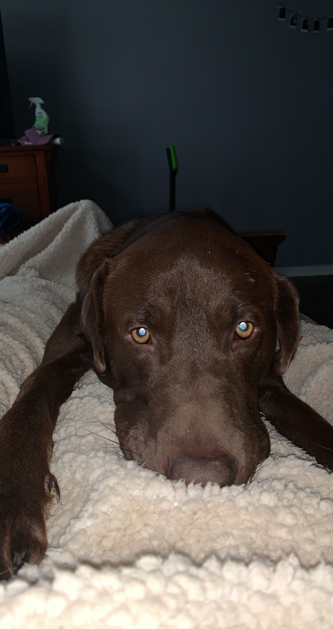 TUCKER photo 2