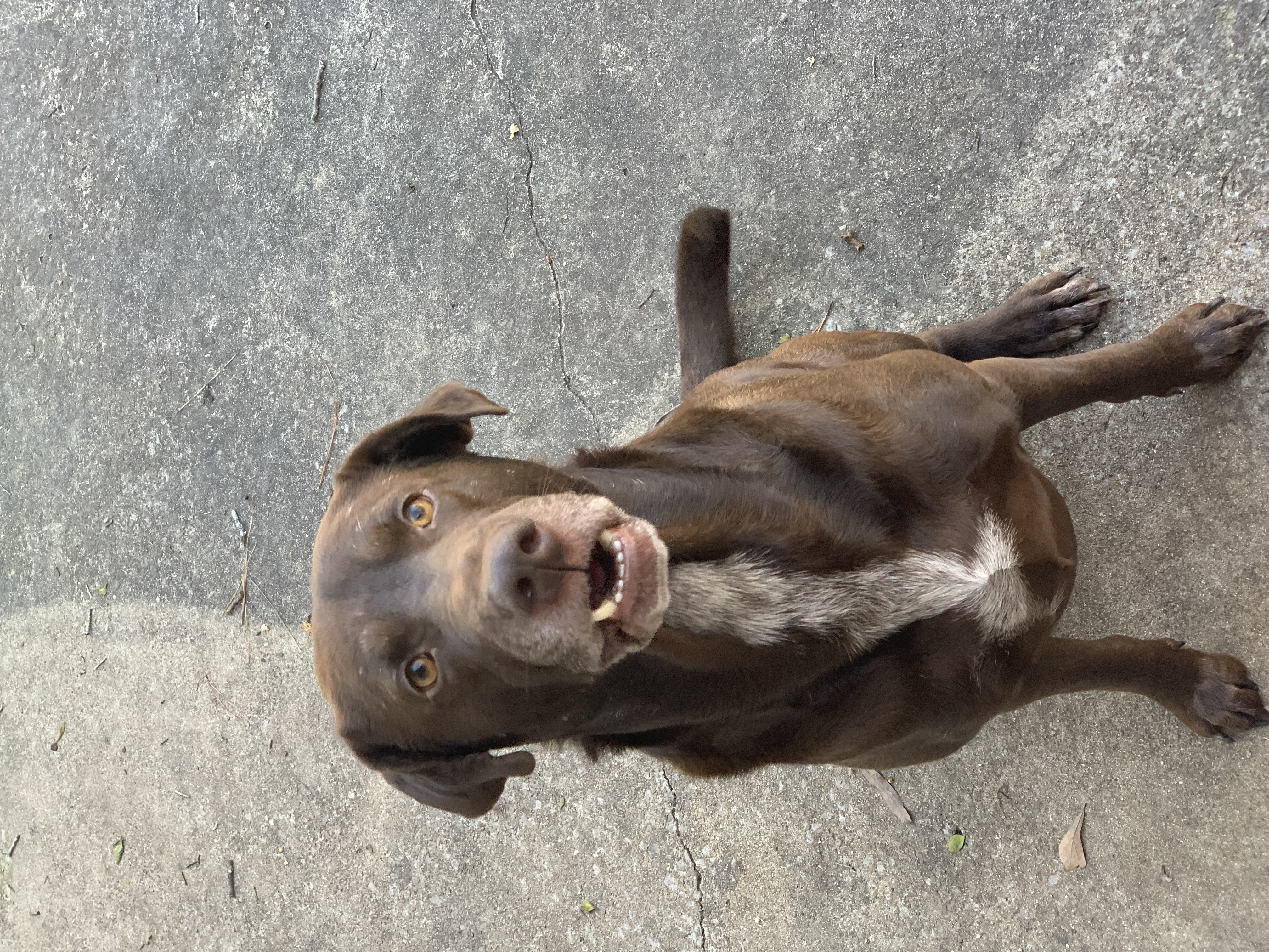 TUCKER photo 4