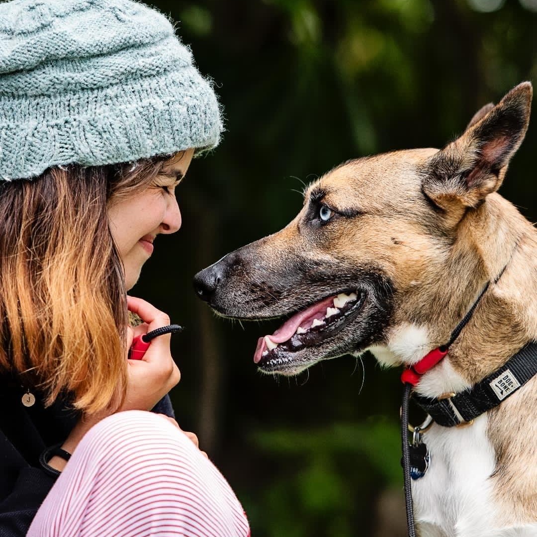 Enlarge Mush, a Adoptable mixed breed in Los Angeles, CA image 3/6
