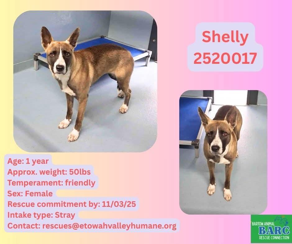 LAST CALL: Shelly [11/3]