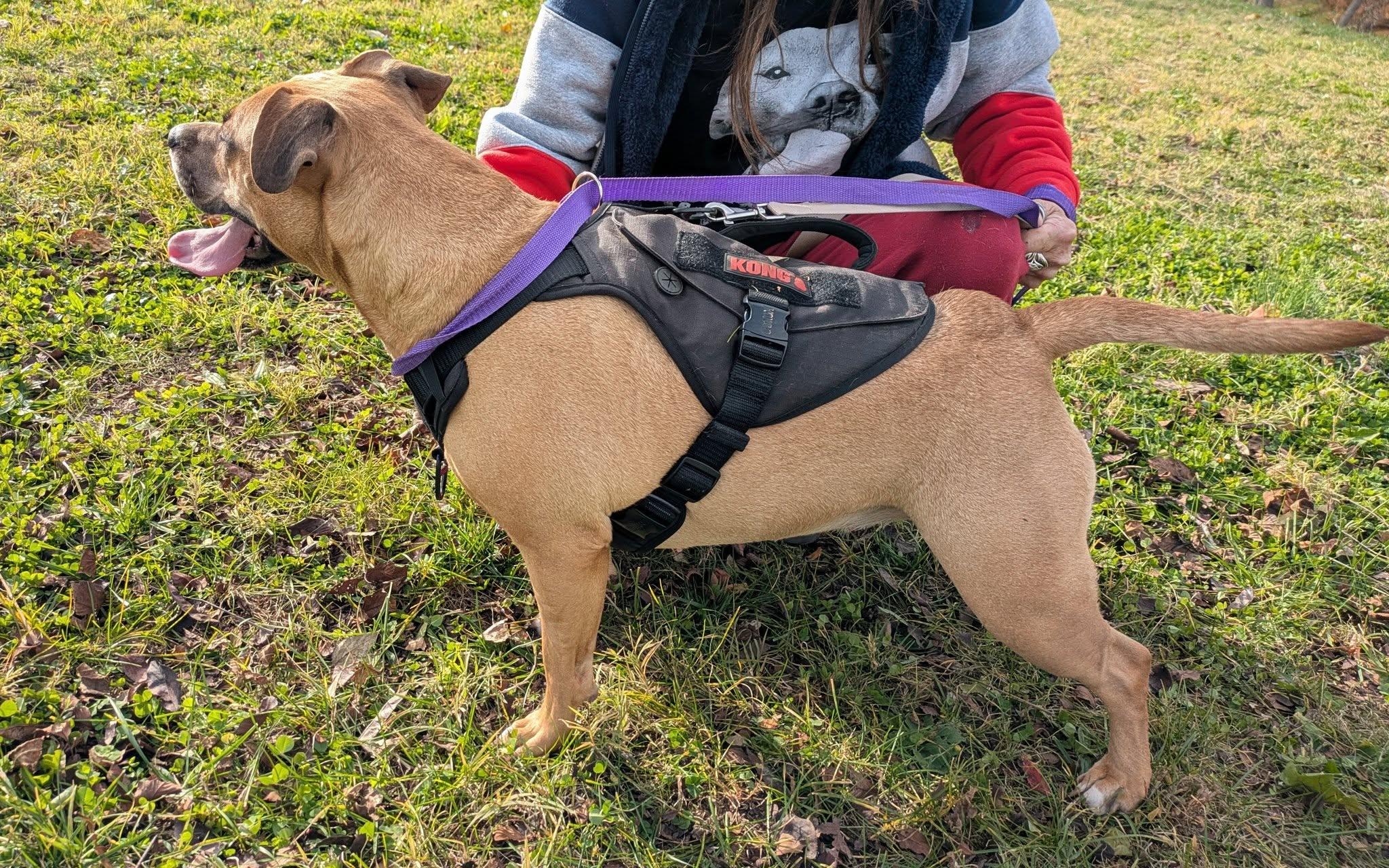 Canella -- Courtesy Post