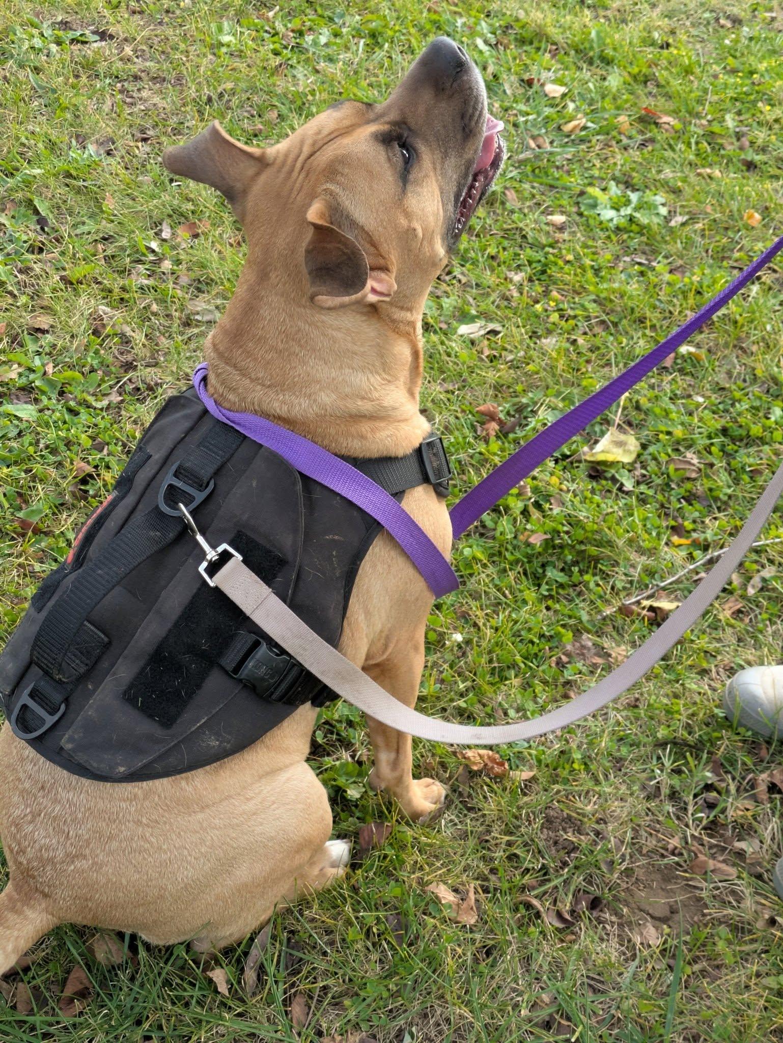 Canella -- Courtesy Post