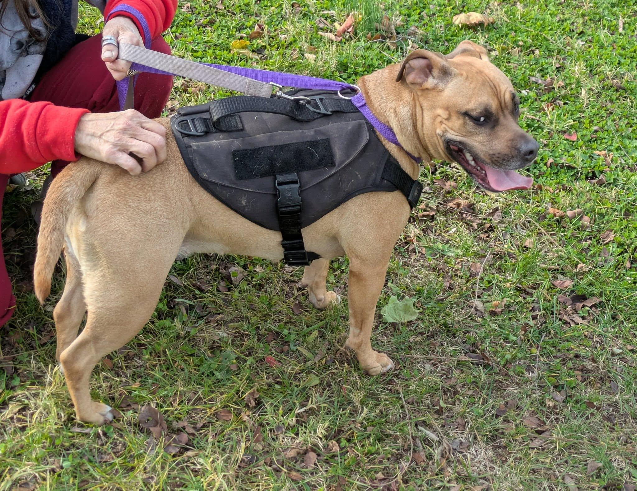 Canella -- Courtesy Post